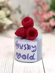 Силиконовая форма 