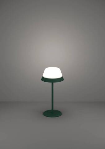 Аккумуляторная настольная лампа Eglo MEGGIANO 900981