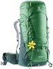 Картинка рюкзак туристический Deuter Aircontact 60+10 SL leaf-forest - 1