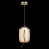 Люстра подвесная ST Luce Ozzio SL6108.323.01