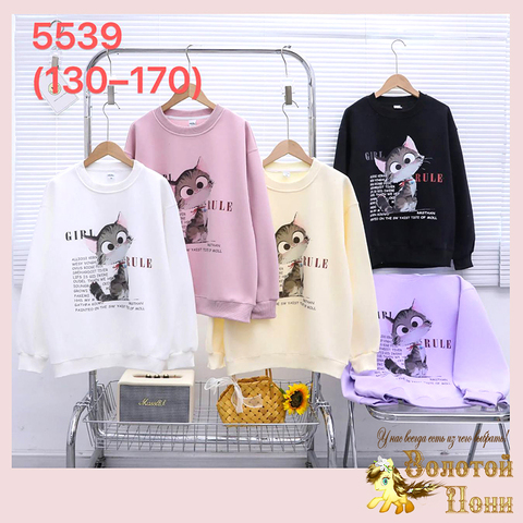 Свитшот хлопок д (8-13) 250718-RN2079