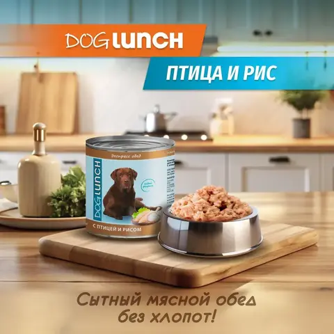 ДОГ ЛАНЧ консервы для собак (птица с рисом) 750г