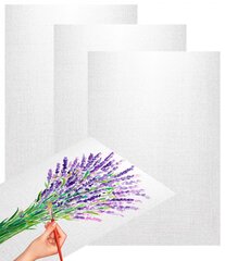 
          Набор холстов на подрамнике Alingar, 2 шт 25*30, 280 гр/м2 среднее зерно, хлопок, акриловая трёхкомпон. грунтовка, индивид. упаковка