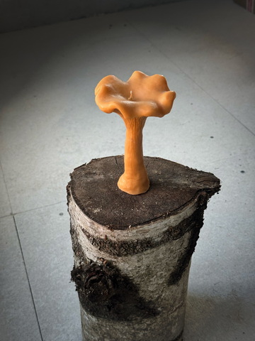 Свеча Unification Love Большой улов Лисичка оранжевая