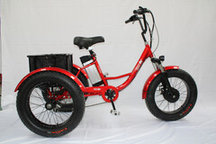 Электровелосипед GreenCamel Трайк-F20