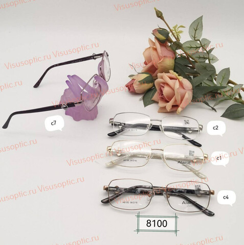 Оправа очков Alanie A8100 Алания