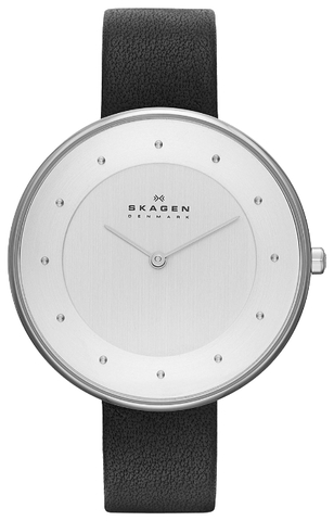 Наручные часы Skagen SKW2232 фото