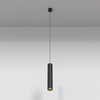 Подвесной светильник Maytoni Focus led P072PL-L12B3K