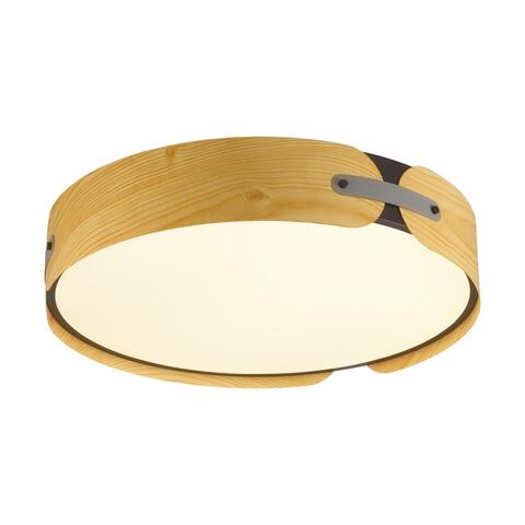 Потолочный светодиодный светильник Sonex CORAGGIO 7721/65L