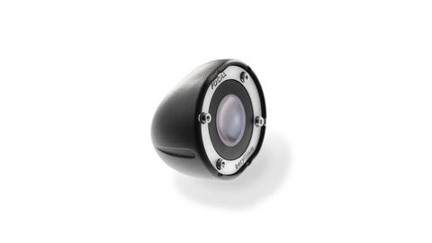 Focal TBE (TWVE0044)