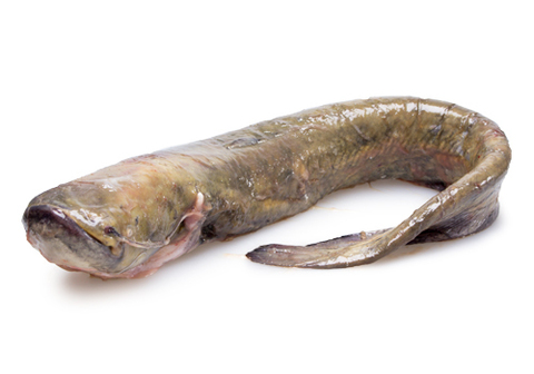 Сом очищенный охлажденный~1.5кг