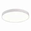 Светильник потолочный ST Luce ST606.542.96