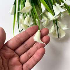 Каллы искусственные цветы, более 20 голов, 33 см, набор 3 букета.