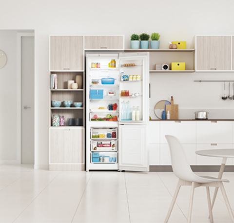 Холодильник Indesit ITS 4200 W mini –  6