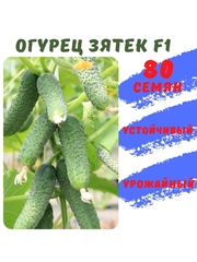 Семена огурца Зятек F1 80 семян