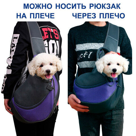 Одежда для собак - интернет-магазин Crystaldog