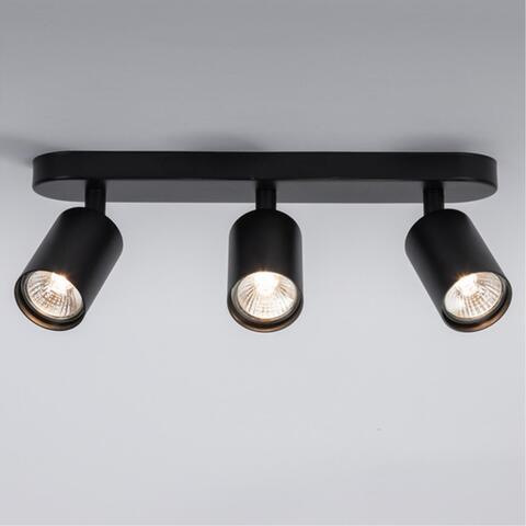 Настенно-потолочный светильник Arte Lamp AQUARIUS A3226PL-3BK