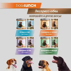 ДОГ ЛАНЧ консервы для собак (птица с рисом) 750г