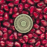 СПЛИН: Гранатовый альбом (Виниловая пластинка)