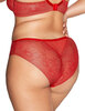 Трусы слипы Ava CROWN 2128 figi Red