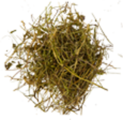 Чабрец (трава)