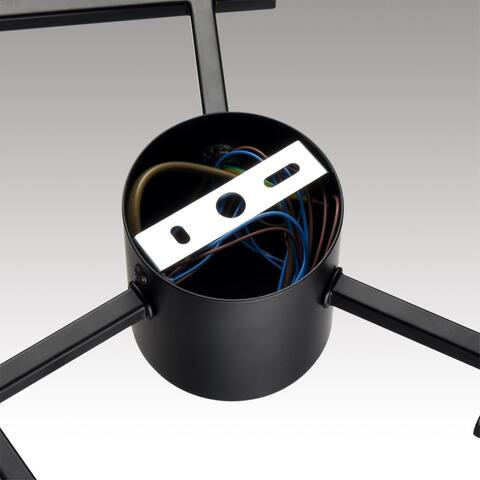 Потолочная люстра Lumion DABRA 8186/6C