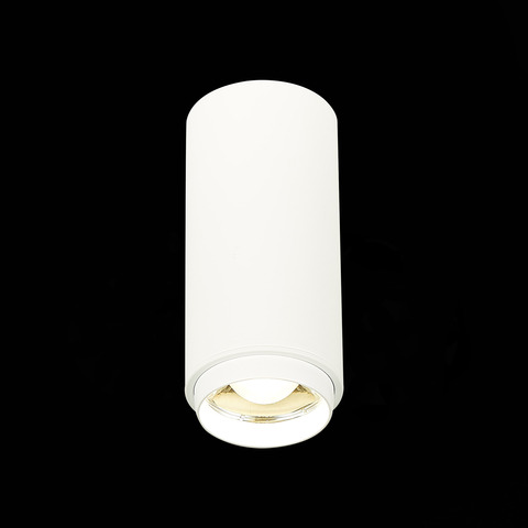 Светильник потолочный ST Luce ST600.542.10