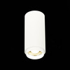 Светильник потолочный ST Luce ST600.542.10