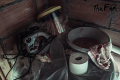 The Fan (для ПК, цифровой код доступа)