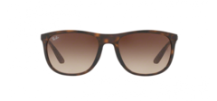 Очки Ray-Ban RB4291 710/13