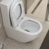 BelBagno BB2141CP-TOR/BB2141T/BB865SC Унитаз-компакт безободковый со смывом TORNADO BelBagno SFERA-TOR BB2141CP-TOR/BB2141T/BB865SC