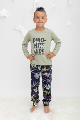 Пижама  для мальчика  К 1541/шалфей,динозавры на индиго