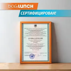 ДОГ ЛАНЧ консервы для собак (птица с рисом) 750г