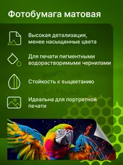 Фотобумага Cactus CS-MA6250500ED 10x15/250г/м2/500л./белый матовое для струйной печати — фото 4