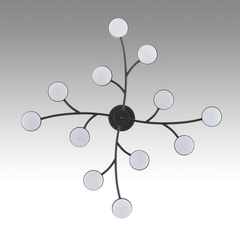 Люстра на штанге Lumion TORINA 8117/12