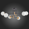 Люстра потолочная ST Luce Limano SL1203.402.06
