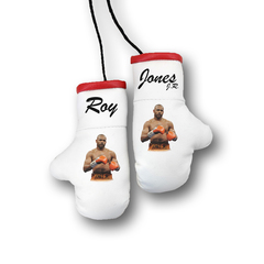 Перчатки боксерские комбинированные "Рой Джонс младший", белые с красным