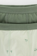 трусы/ уп  для мальчика  К 1980-2уп/папоротник,морская пена