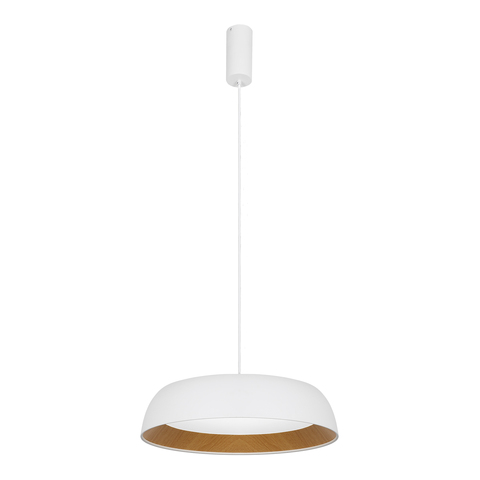 Подвесной светодиодный светильник Evoluce MUSE SLE1812-503-01