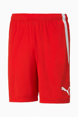Шорты Puma teamLIGA