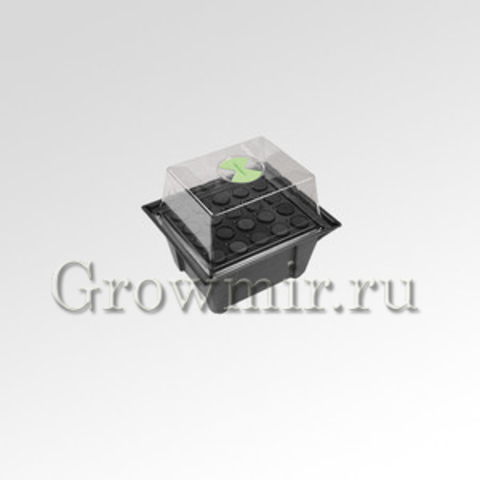 GrowPlant 20 Site