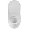 Унитаз подвесной безободковый BelBagno SFERA-R