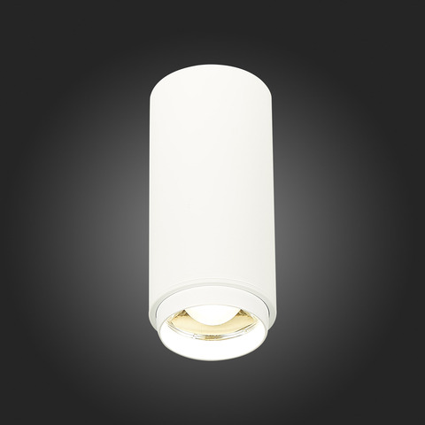 Светильник потолочный ST Luce ST600.542.10