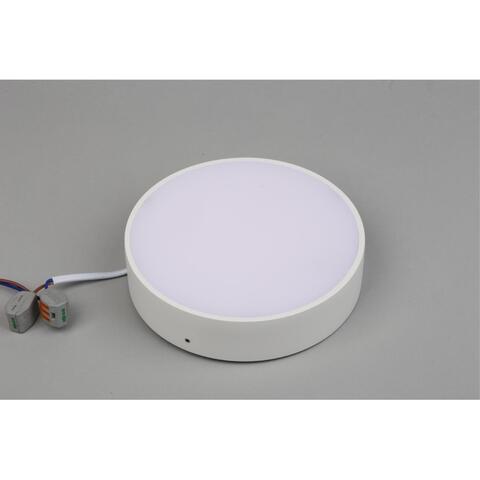 Потолочный светодиодный светильник Aployt Evon APL.0113.09.18