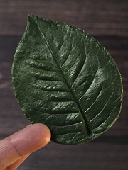 Молд пластиковый 