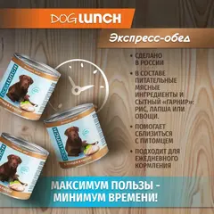 ДОГ ЛАНЧ консервы для собак (птица с рисом) 750г