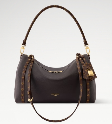 Сумка Louis Vuitton Express