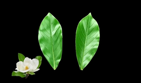 Силиконовый вайнер 