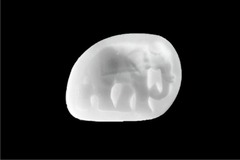 Силиконовый молд № 323 Слон большой левый