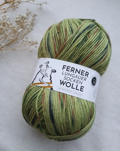 Ferner Wolle Lungauer 6-ply 473